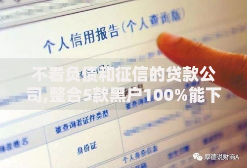 不看负债和征信的贷款公司,整合5款黑户100%能下款的平台 不看负债和征信的贷款公司,整合5款黑户100%能下款的平台