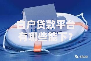白户贷款平台有哪些能下？精选正规渠道解析