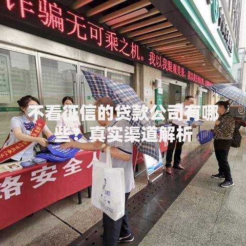 不看征信的贷款公司有哪些？真实渠道解析