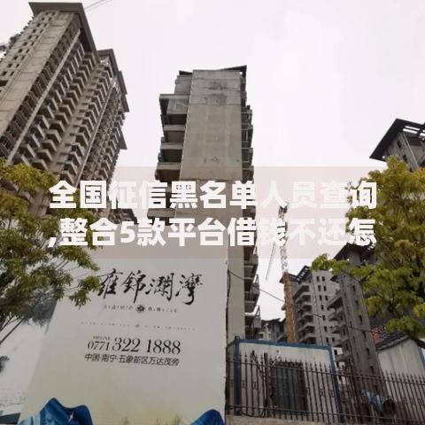 全国征信黑名单人员查询,整合5款平台借钱不还怎么处理 全国征信黑名单人员查询,整合5款平台借钱不还怎么处理