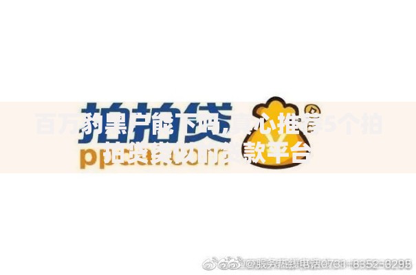 百万豹黑户能下吗,真心推荐5个拍拍贷类似的贷款平台