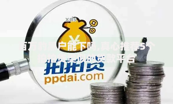 百万豹黑户能下吗,真心推荐5个拍拍贷类似的贷款平台