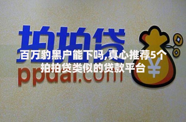 百万豹黑户能下吗,真心推荐5个拍拍贷类似的贷款平台