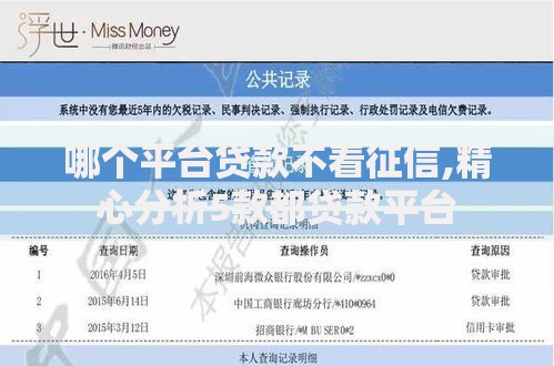 哪个平台贷款不看征信,精心分析5款都贷款平台