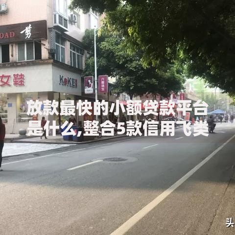 放款最快的小额贷款平台是什么,整合5款信用飞类似的口子