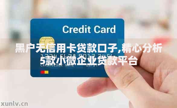 黑户无信用卡贷款口子,精心分析5款小微企业贷款平台 黑户无信用卡贷款口子,精心分析5款小微企业贷款平台