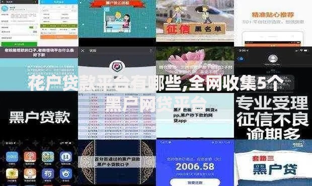 花户贷款平台有哪些,全网收集5个黑户网贷平台