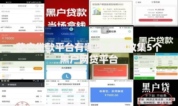 花户贷款平台有哪些,全网收集5个黑户网贷平台