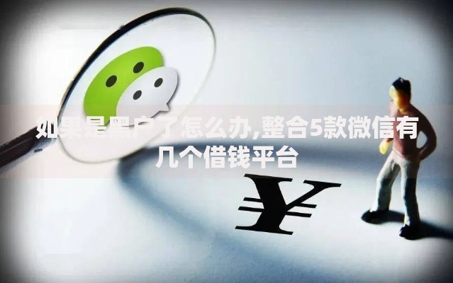 如果是黑户了怎么办,整合5款微信有几个借钱平台