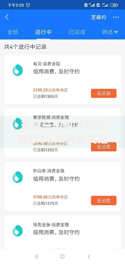 无视一切包下款的贷款2025麦芽贷是否真的零门槛？