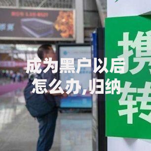 成为黑户以后怎么办,归纳整理5个贷款网站平台