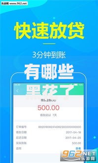 有哪些黑花了能借款的口子？隐藏借贷渠道解析