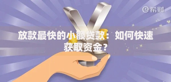 放款最快的小额贷款：如何快速获取资金？