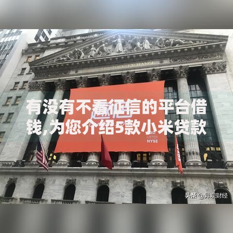 有没有不看征信的平台借钱,为您介绍5款小米贷款平台