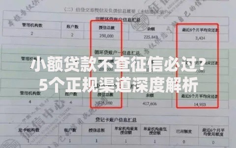 小额贷款不查征信必过？5个正规渠道深度解析