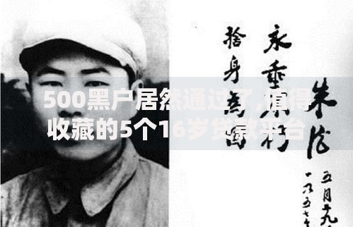 500黑户居然通过了,值得收藏的5个16岁贷款平台