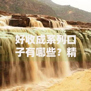 好收成系列口子有哪些？精选平台及申请攻略解析