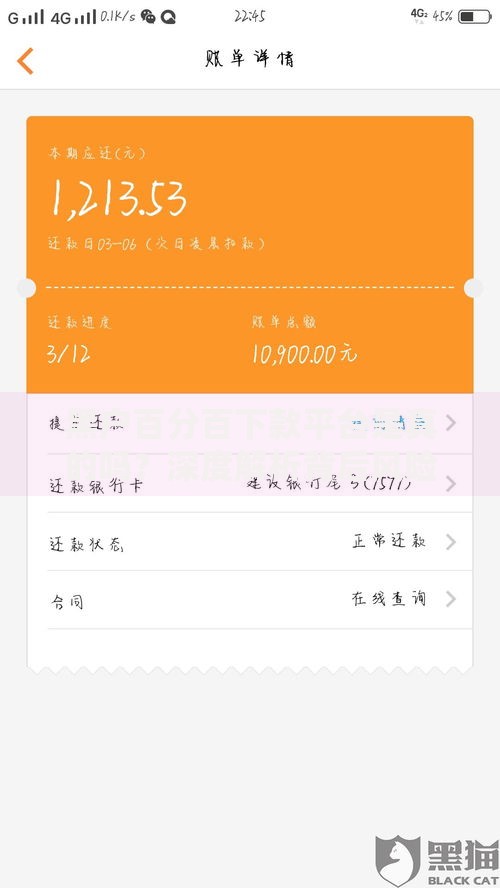 黑户百分百下款平台是真的吗？深度解析背后风险与真相