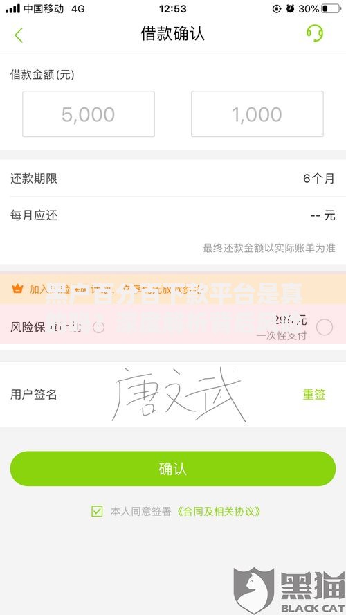 黑户百分百下款平台是真的吗？深度解析背后风险与真相