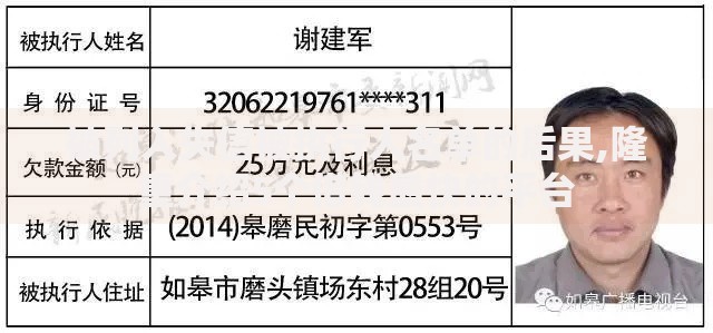被列入失信被执行人名单的后果,隆重介绍5个借钱最快的平台