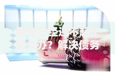 网贷已经还不起了怎么办？解决债务危机的实用指南