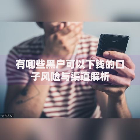 有哪些黑户可以下钱的口子风险与渠道解析