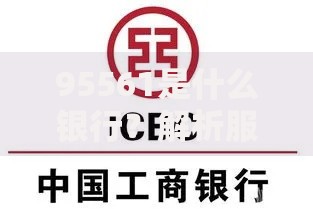 95561是什么银行？解析服务热线与所属银行关系