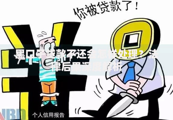 黑口子贷款不还会怎样处理？法律后果深度解析
