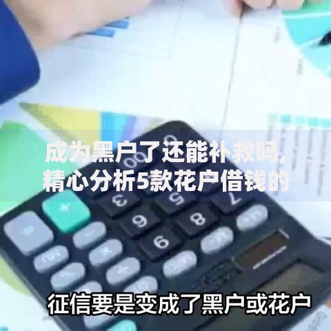 成为黑户了还能补救吗,精心分析5款花户借钱的平台100%能借到