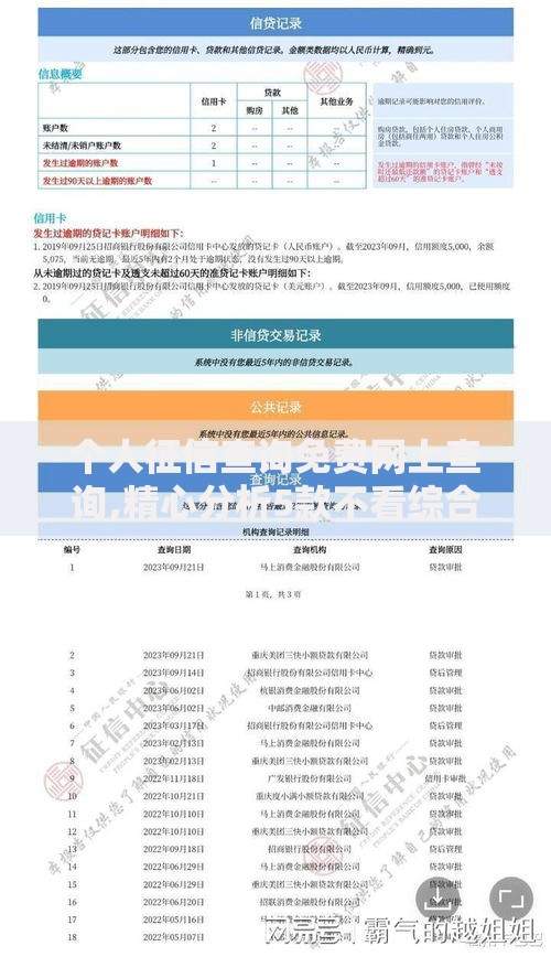 个人征信查询免费网上查询,精心分析5款不看综合评分夜间直接能下款又正规的平台
