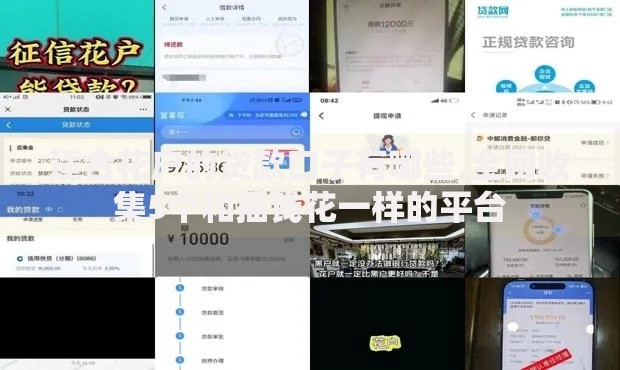 适合花户的贷款口子有哪些,全网收集5个和摇钱花一样的平台