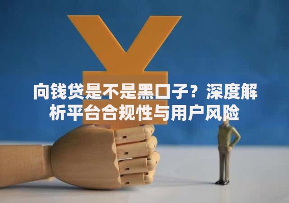 向钱贷是不是黑口子？深度解析平台合规性与用户风险