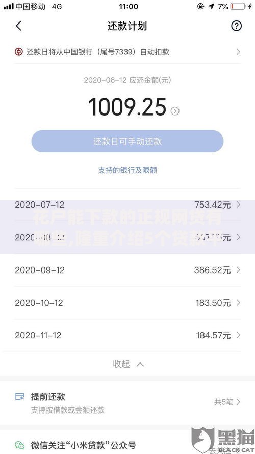 花户能下款的正规网贷有哪些,隆重介绍5个贷款平台怎么投诉