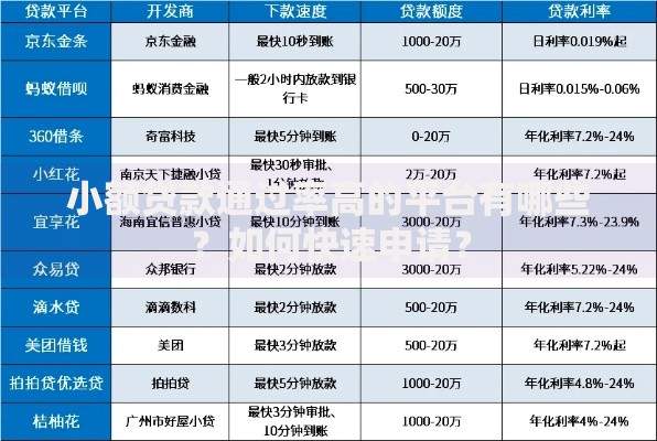 小额贷款通过率高的平台有哪些？如何快速申请？