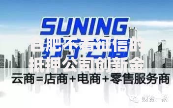 合肥不看征信的抵押公司创新金融服务模式解析与优势