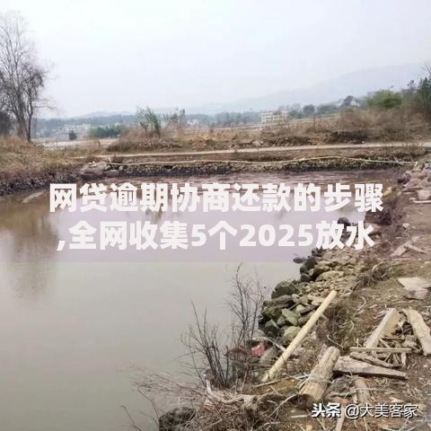 网贷逾期协商还款的步骤,全网收集5个2025放水的夜间贷款口子