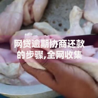 网贷逾期协商还款的步骤,全网收集5个2025放水的夜间贷款口子