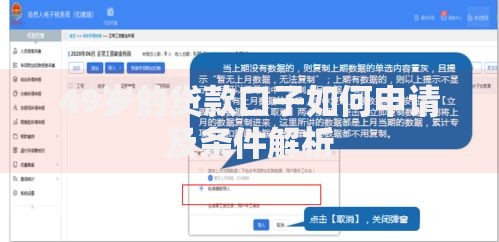 49岁的贷款口子如何申请及条件解析