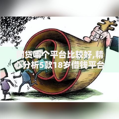 网贷哪个平台比较好,精心分析5款18岁借钱平台