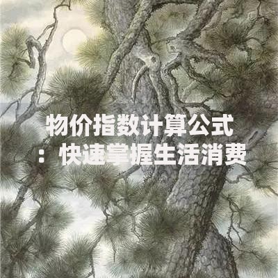物价指数计算公式：快速掌握生活消费变化的秘密