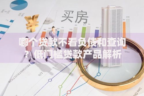 哪个贷款不看负债和查询？低门槛贷款产品解析