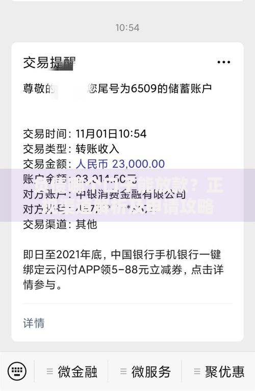 负债哪个口子能放款？正规渠道解析及申请攻略