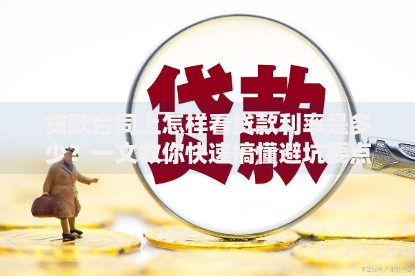 贷款合同上怎样看贷款利率是多少？一文教你快速搞懂避坑要点