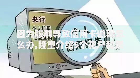 因为服刑导致信用卡逾期怎么办,隆重介绍5个花户和黑户也能放款的平台