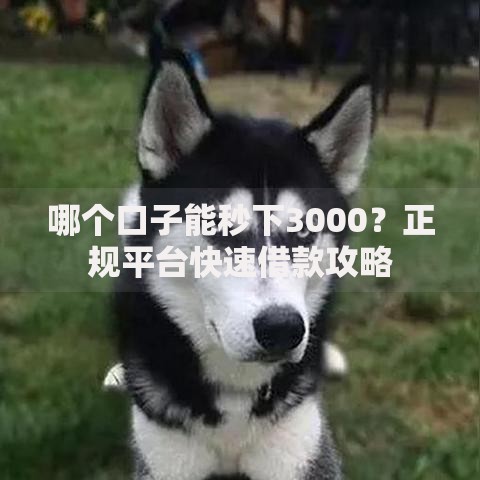 哪个口子能秒下3000？正规平台快速借款攻略