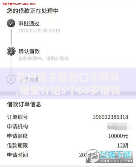 花户能下款的口子有吗,隆重介绍5个60岁借钱的平台100%能借到