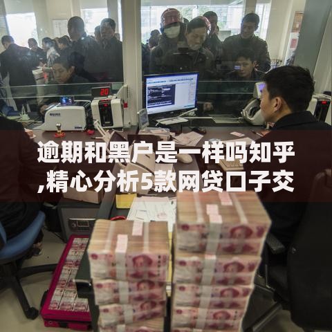 逾期和黑户是一样吗知乎,精心分析5款网贷口子交流论坛