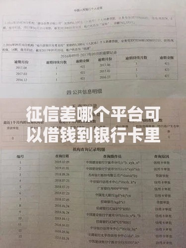 征信差哪个平台可以借钱到银行卡里深度解析
