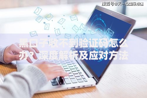 黑口子收不到验证码怎么办？深度解析及应对方法