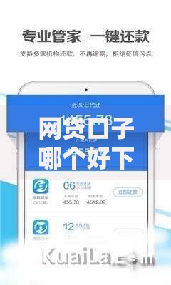 网贷口子哪个好下款,简单汇总5个那些平台可以借钱